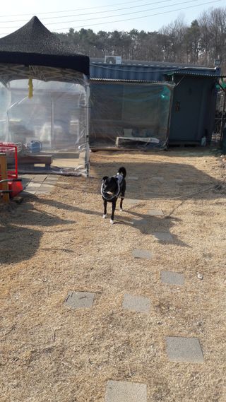 안복순님의 3월 농사 계획 같이해요 · 참여글 작성글 사진