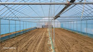 제주농부님의 고추 · 일상 작성글 사진