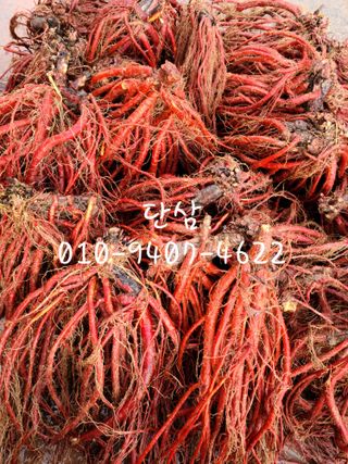 단삼님의 기타작물 · 자유게시판 작성글 사진