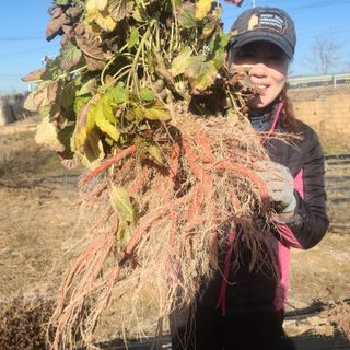 단삼님의 기타작물 · 자유게시판 작성글 사진