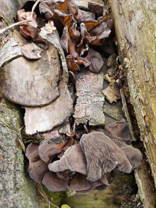 김창호님의 자유주제 · 자유게시판 작성글 사진