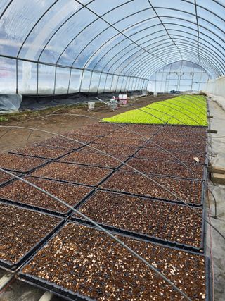 김영철님의 양파 · 자유게시판 작성글 사진