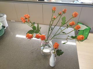 알 수 없음님의 자유주제 · 사진전 작성글 사진