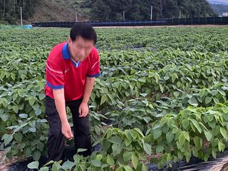 권오진트로트님의 팜모닝 · 출석 작성글 사진