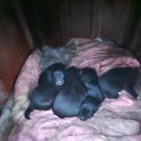 팜모닝 3월 농사 계획 같이해요·참여글 게시글 이미지