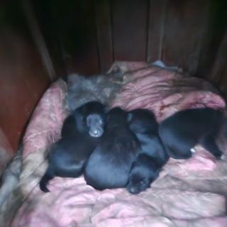 김영식님의 3월 농사 계획 같이해요 · 참여글 작성글 사진