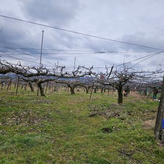 김영식님의 3월 농사 계획 같이해요 · 참여글 작성글 사진