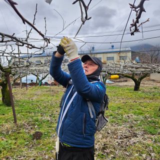김영식님의 3월 농사 계획 같이해요 · 참여글 작성글 사진