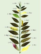 팜모닝 자유주제·자유게시판 게시글 이미지