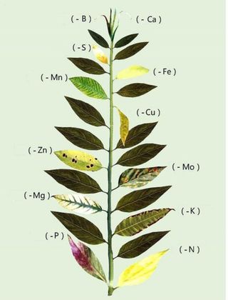 전영일님의 자유주제 · 자유게시판 작성글 사진