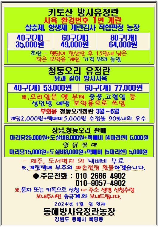 장터 상품 [동해방사유정란농장 계란가격 안내] 썸네일