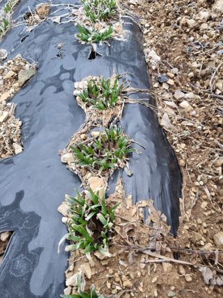 풍요님의 사과 · 일상 작성글 사진