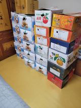 팜모닝 3월 농사 계획 같이해요·참여글 게시글 이미지