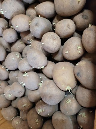 박영석님의 3월 농사 계획 같이해요 · 참여글 작성글 사진