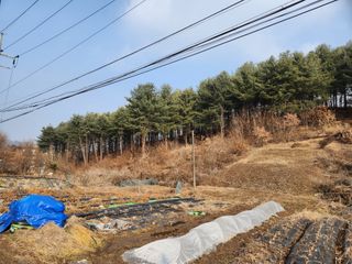 임대운님의 3월 농사 계획 같이해요 · 참여글 작성글 사진