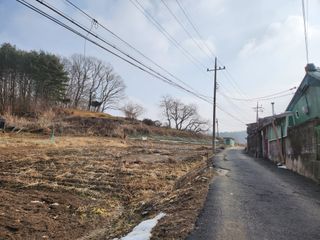 임대운님의 3월 농사 계획 같이해요 · 참여글 작성글 사진