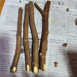 knlee님의 3월 농사 계획 같이해요 · 참여글 작성글 사진