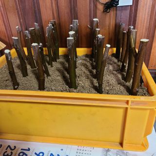 knlee님의 3월 농사 계획 같이해요 · 참여글 작성글 사진