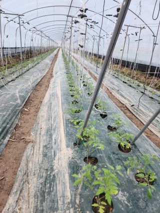 덕촌농원님의 3월 농사 계획 같이해요 · 참여글 작성글 사진