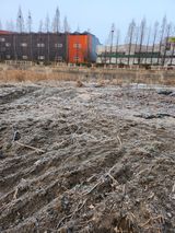 팜모닝 3월 농사 계획 같이해요·참여글 게시글 이미지