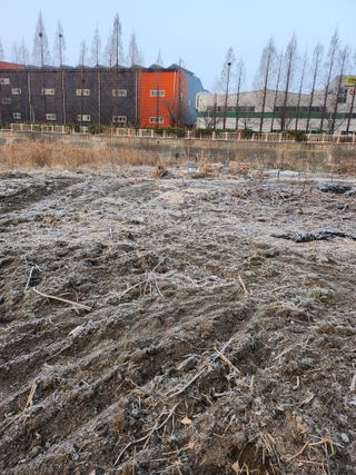 천지창조님의 3월 농사 계획 같이해요 · 참여글 작성글 사진