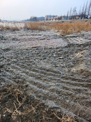 천지창조님의 3월 농사 계획 같이해요 · 참여글 작성글 사진