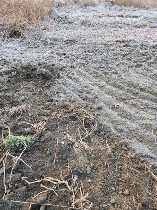 천지창조님의 3월 농사 계획 같이해요 · 참여글 작성글 사진