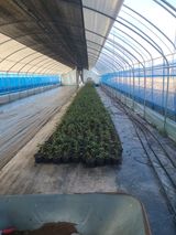 팜모닝 3월 농사 계획 같이해요·참여글 게시글 이미지