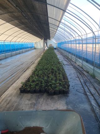 배국열님의 3월 농사 계획 같이해요 · 참여글 작성글 사진