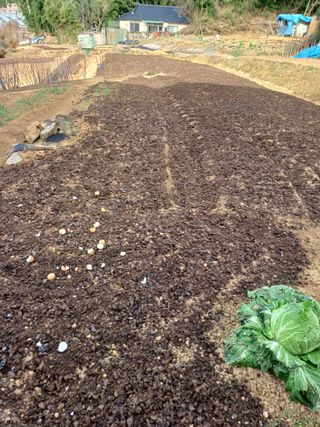 송광호님의 3월 농사 계획 같이해요 · 참여글 작성글 사진