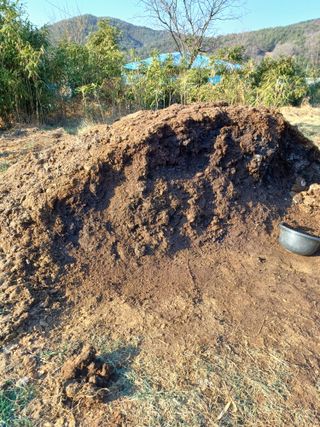 송광호님의 3월 농사 계획 같이해요 · 참여글 작성글 사진