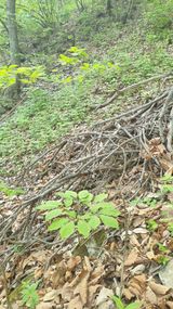 팜모닝 자유주제·자유게시판 게시글 이미지