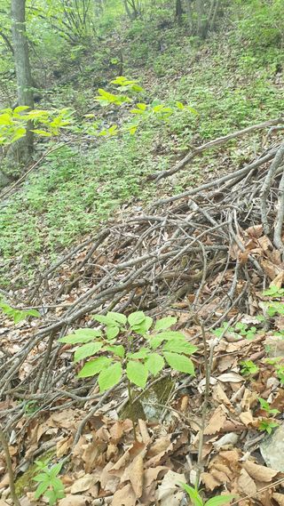 조영석님의 자유주제 · 자유게시판 작성글 사진