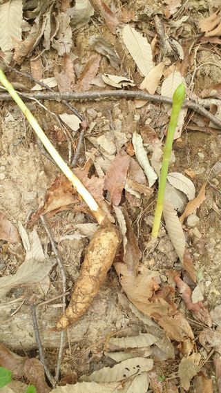 조영석님의 자유주제 · 자유게시판 작성글 사진