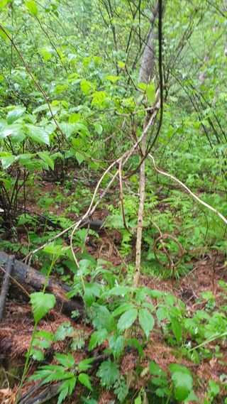 조영석님의 자유주제 · 자유게시판 작성글 사진
