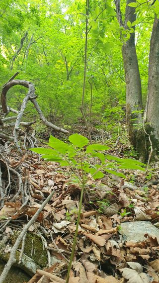 조영석님의 자유주제 · 자유게시판 작성글 사진