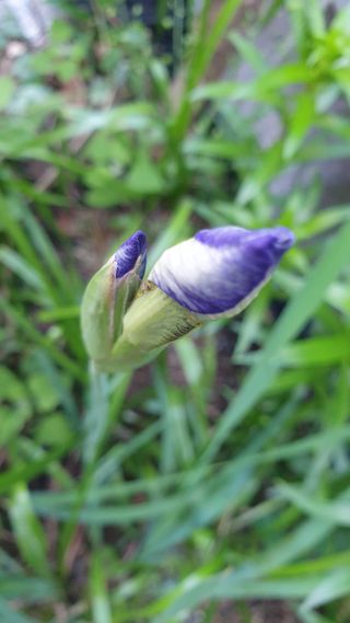 조영석님의 자유주제 · 자유게시판 작성글 사진