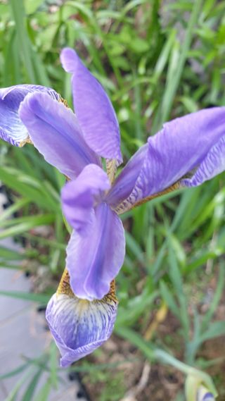 조영석님의 자유주제 · 자유게시판 작성글 사진