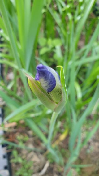 조영석님의 자유주제 · 자유게시판 작성글 사진