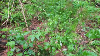 조영석님의 자유주제 · 자유게시판 작성글 사진