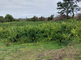채정식님의 3월 농사 계획 같이해요 · 참여글 작성글 사진