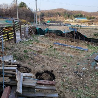 화려한이글님의 3월 농사 계획 같이해요 · 참여글 작성글 사진