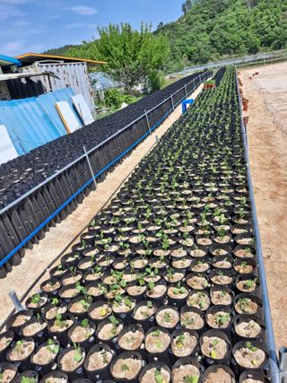 김금철님의 3월 농사 계획 같이해요 · 참여글 작성글 사진