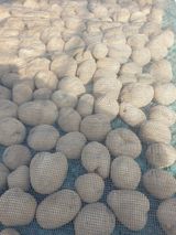 팜모닝 3월 농사 계획 같이해요·참여글 게시글 이미지