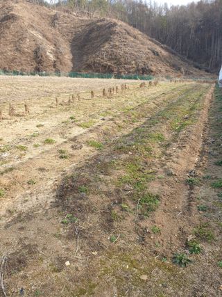 알 수 없음님의 3월 농사 계획 같이해요 · 참여글 작성글 사진