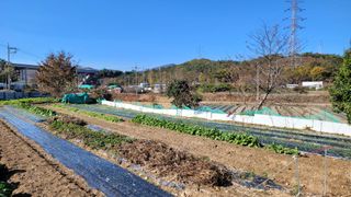 차동근님의 3월 농사 계획 같이해요 · 참여글 작성글 사진