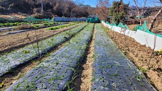 차동근님의 3월 농사 계획 같이해요 · 참여글 작성글 사진