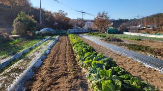 차동근님의 3월 농사 계획 같이해요 · 참여글 작성글 사진