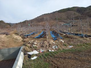 무주김근중님의 3월 농사 계획 같이해요 · 참여글 작성글 사진