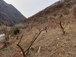김기옥님의 3월 농사 계획 같이해요 · 참여글 작성글 사진